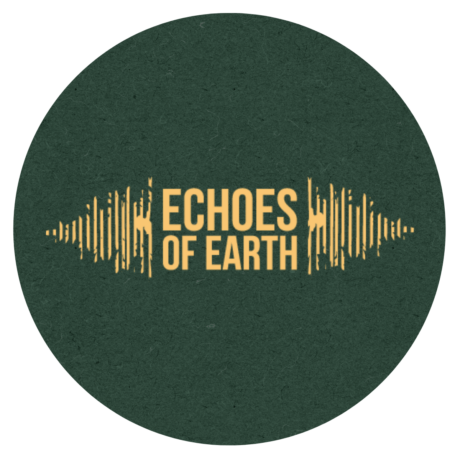 Echoes of Earth