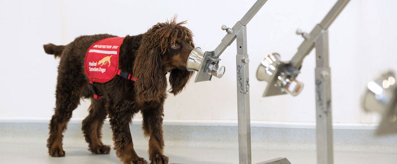 In the UK, the London School of Hygiene & Tropical Medicine is undertaking a similar study