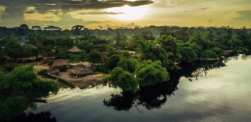 Nordic Wristbands will protect around 7,000 ancient trees from destruction
